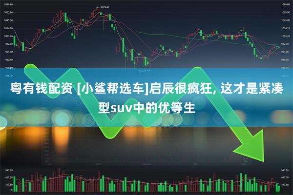 粤有钱配资 [小鲨帮选车]启辰很疯狂, 这才是紧凑型suv中的优等生