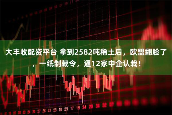 大丰收配资平台 拿到2582吨稀土后，欧盟翻脸了，一纸制裁令，逼12家中企认栽！