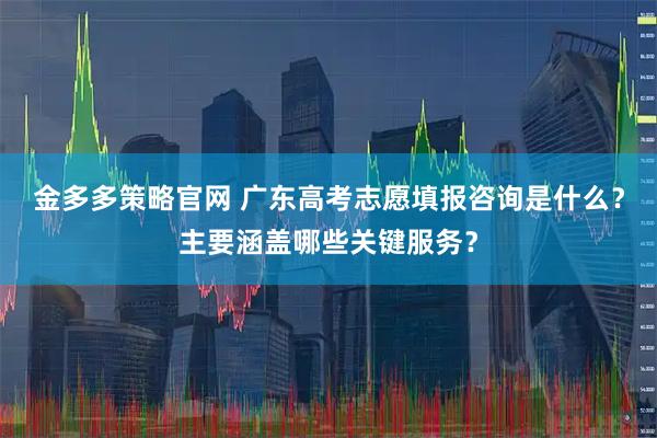 金多多策略官网 广东高考志愿填报咨询是什么？主要涵盖哪些关键服务？