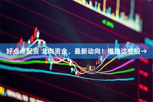 好点点配资 北向资金，最新动向！增持这些股→