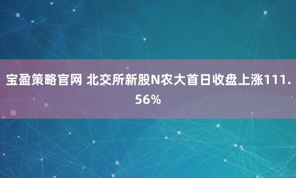 宝盈策略官网 北交所新股N农大首日收盘上涨111.56%