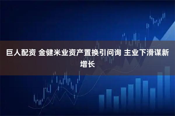 巨人配资 金健米业资产置换引问询 主业下滑谋新增长