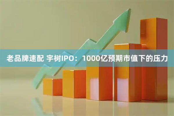 老品牌速配 宇树IPO：1000亿预期市值下的压力
