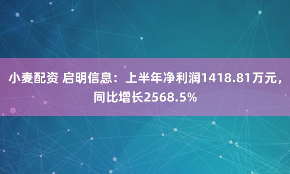 小麦配资 启明信息：上半年净利润1418.81万元，同比增长2568.5%